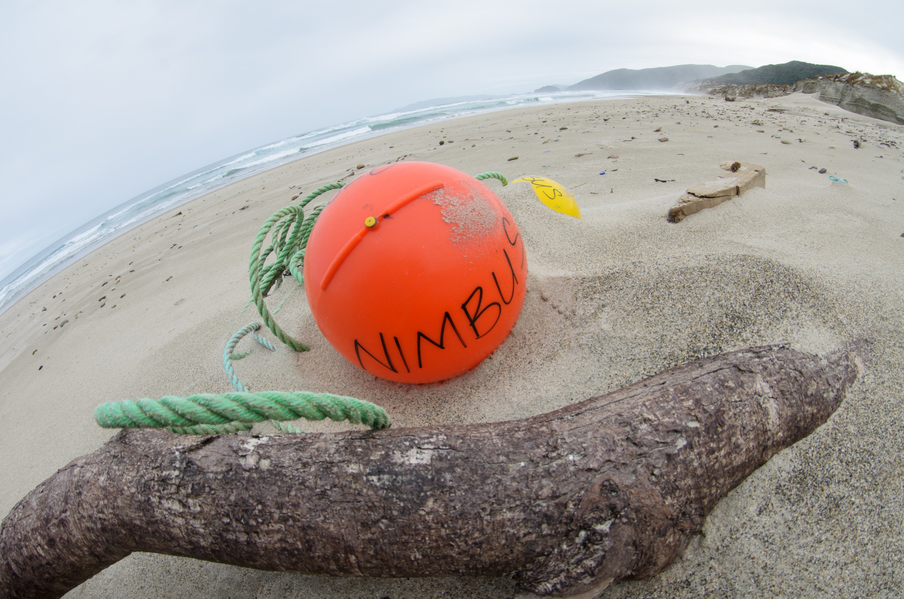 DSC_2016 – Adventure, Bay, Crispin, Island, March 2017, Mason, Mason Bay, National Park, New, New Zealand, Rakiura, South, Stewart, Zealand